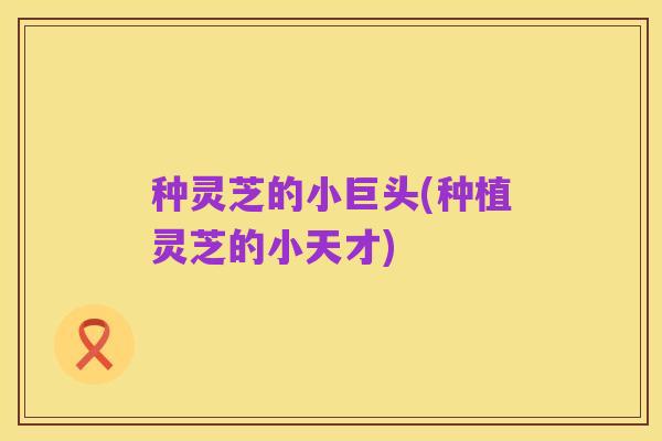 种灵芝的小巨头(种植灵芝的小天才)