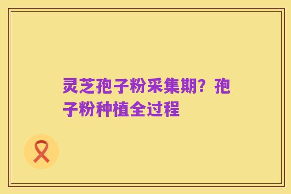 灵芝孢子粉采集期?孢子粉种植全过程