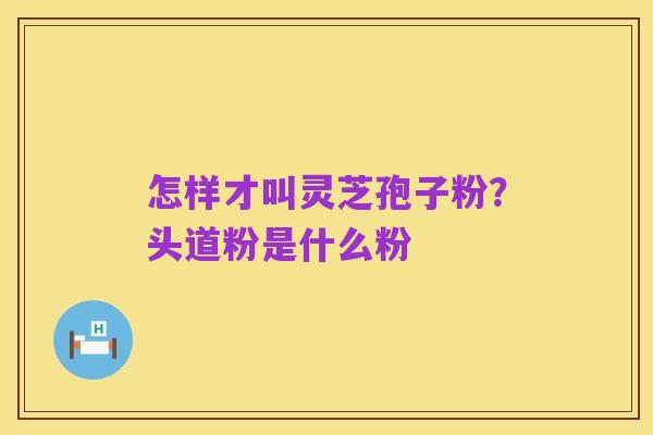 怎样才叫灵芝孢子粉?头道粉是什么粉