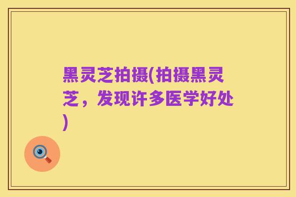 黑灵芝拍摄(拍摄黑灵芝,发现许多医学好处)