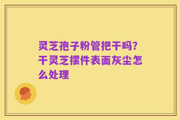 灵芝孢子粉管把干吗？干灵芝摆件表面灰尘怎么处理