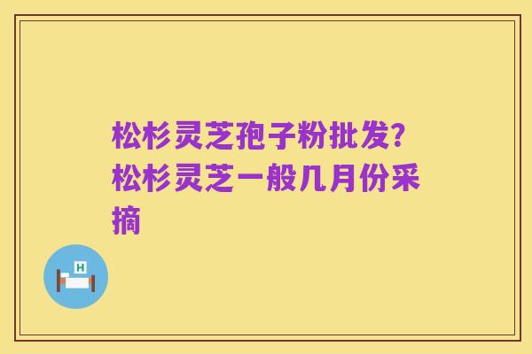 松杉灵芝孢子粉批发?松杉灵芝一般几月份采摘