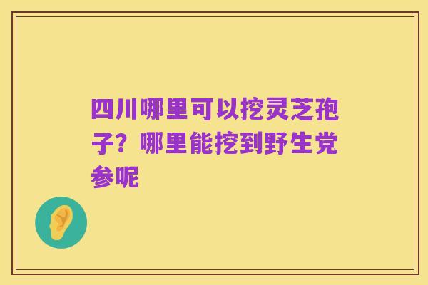 四川哪里可以挖灵芝孢子?哪里能挖到野生党参呢