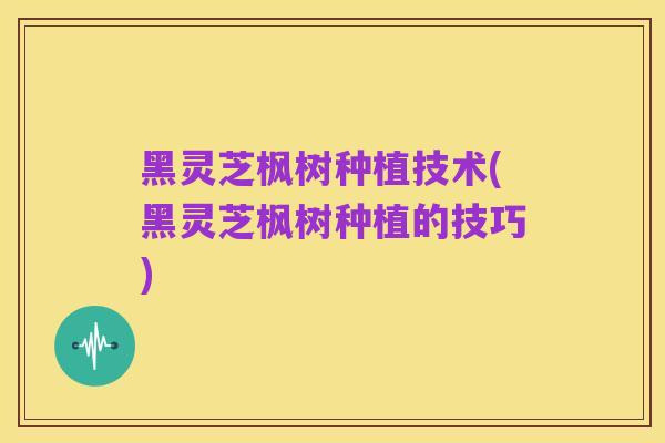 黑灵芝枫树种植技术(黑灵芝枫树种植的技巧)