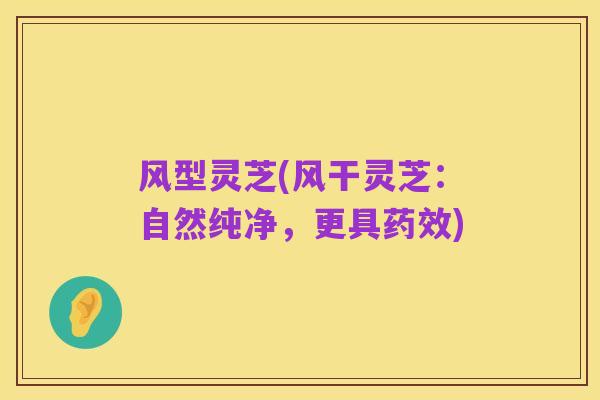 风型灵芝(风干灵芝:自然纯净,更具药效)