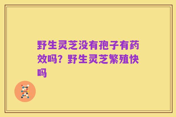 野生灵芝没有孢子有药效吗?野生灵芝繁殖快吗