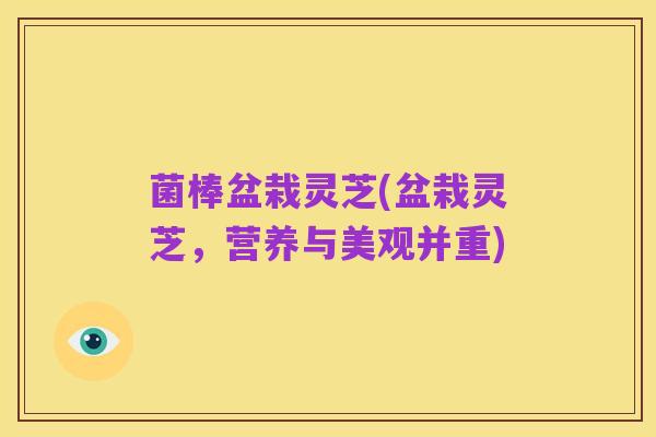 菌棒盆栽灵芝(盆栽灵芝,营养与美观并重)