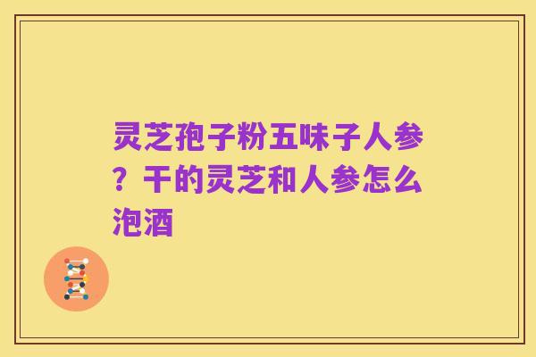 灵芝孢子粉五味子人参?干的灵芝和人参怎么泡酒