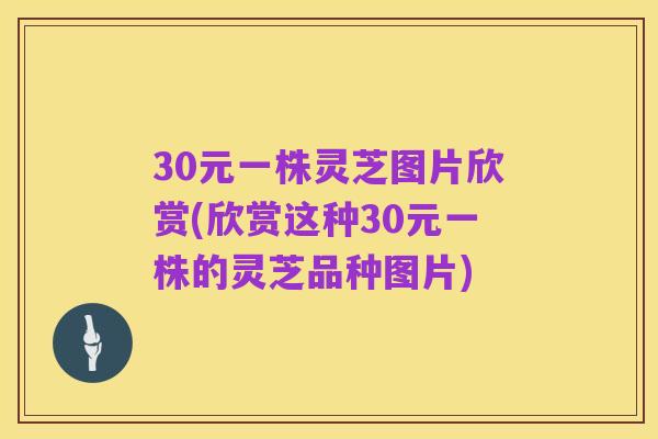 30元一株灵芝图片欣赏(欣赏这种30元一株的灵芝品种图片)