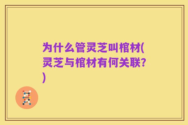 为什么管灵芝叫棺材(灵芝与棺材有何关联？)