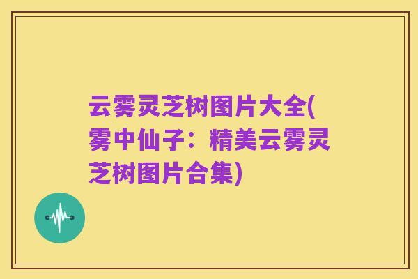 云雾灵芝树图片大全(雾中仙子:精美云雾灵芝树图片合集)