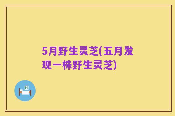 5月野生灵芝(五月发现一株野生灵芝)