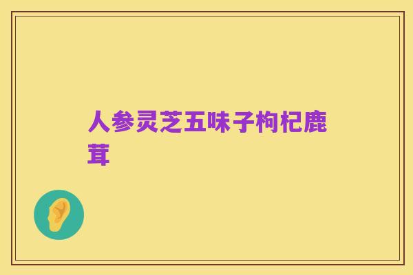 人参灵芝五味子枸杞鹿茸