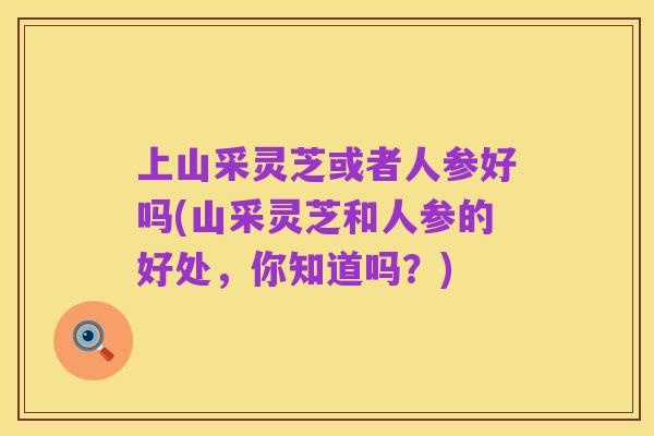 上山采灵芝或者人参好吗(山采灵芝和人参的好处，你知道吗？)