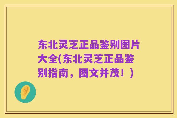 东北灵芝正品鉴别图片大全(东北灵芝正品鉴别指南,图文并茂!)