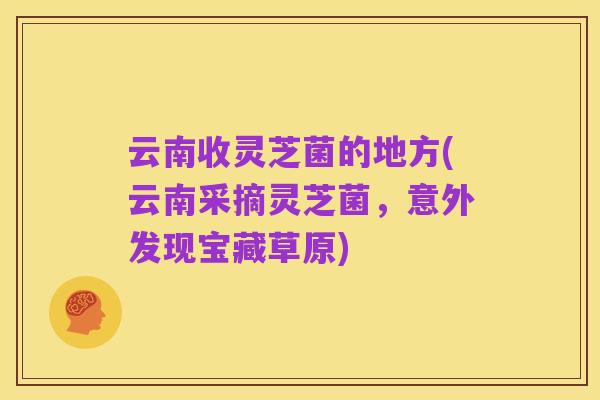 云南收灵芝菌的地方(云南采摘灵芝菌,意外发现宝藏草原)