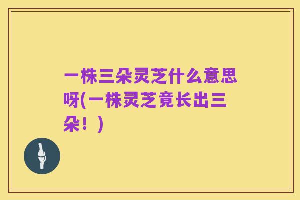 一株三朵灵芝什么意思呀(一株灵芝竟长出三朵!)