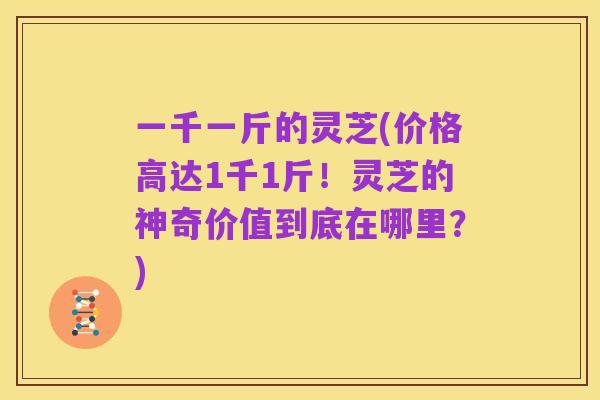一千一斤的灵芝(价格高达1千1斤!灵芝的神奇价值到底在哪里?)