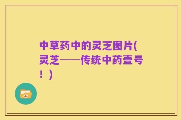 中草药中的灵芝图片(灵芝──传统中药壹号!)