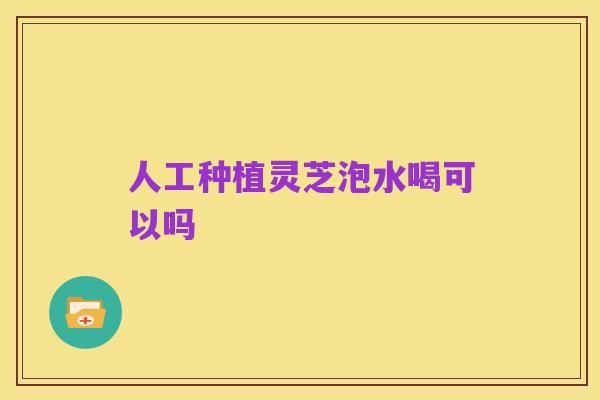 人工种植灵芝泡水喝可以吗