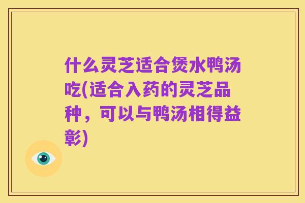 什么灵芝适合煲水鸭汤吃(适合入药的灵芝品种,可以与鸭汤相得益彰)
