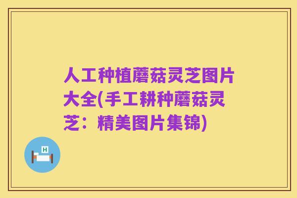 人工种植蘑菇灵芝图片大全(手工耕种蘑菇灵芝：精美图片集锦)