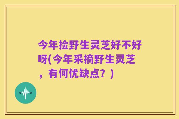 今年捡野生灵芝好不好呀(今年采摘野生灵芝,有何优缺点?)