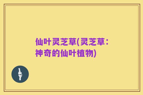 仙叶灵芝草(灵芝草:神奇的仙叶植物)
