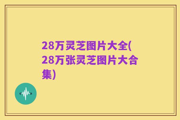 28万灵芝图片大全(28万张灵芝图片大合集)