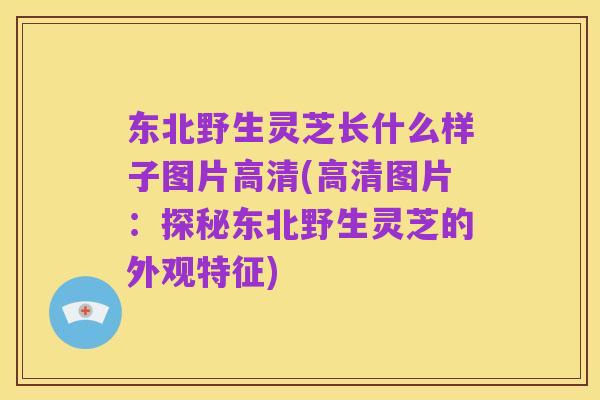东北野生灵芝长什么样子图片高清(高清图片:探秘东北野生灵芝的外观特征)