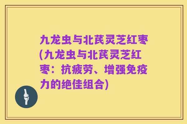 九龙虫与北芪灵芝红枣(九龙虫与北芪灵芝红枣:抗疲劳、增强免疫力的绝佳组合)