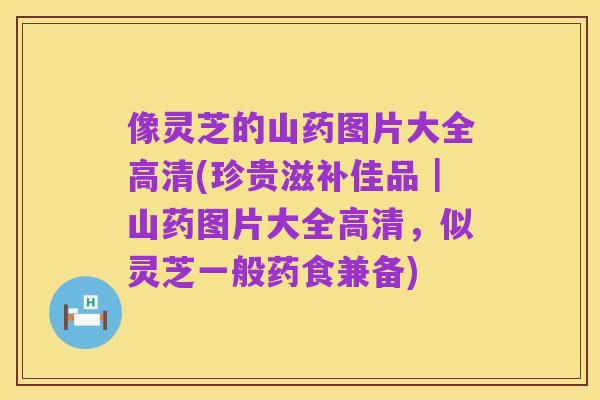 像灵芝的山药图片大全高清(珍贵滋补佳品|山药图片大全高清,似灵芝一般药食兼备)