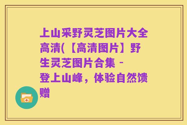 上山采野灵芝图片大全高清(【高清图片】野生灵芝图片合集 - 登上山峰,体验自然馈赠