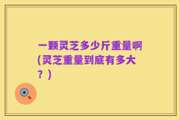 一颗灵芝多少斤重量啊(灵芝重量到底有多大？)