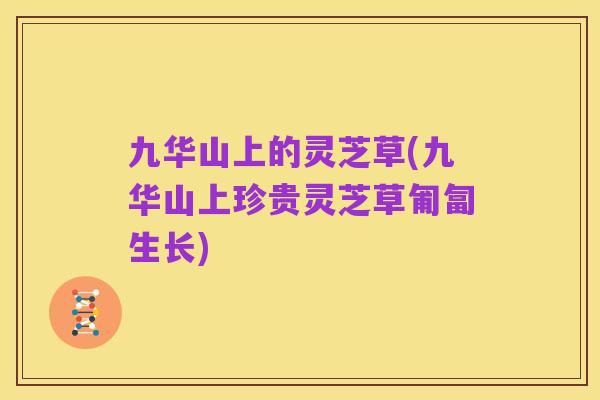 九华山上的灵芝草(九华山上珍贵灵芝草匍匐生长)