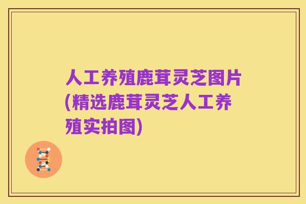 人工养殖鹿茸灵芝图片(精选鹿茸灵芝人工养殖实拍图)