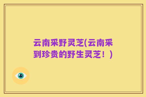云南采野灵芝(云南采到珍贵的野生灵芝!)