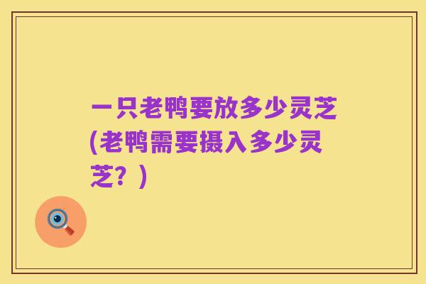 一只老鸭要放多少灵芝(老鸭需要摄入多少灵芝?)