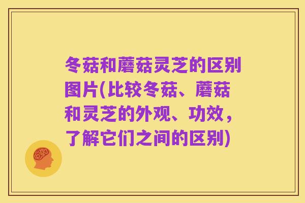 冬菇和蘑菇灵芝的区别图片(比较冬菇、蘑菇和灵芝的外观、功效,了解它们之间的区别)