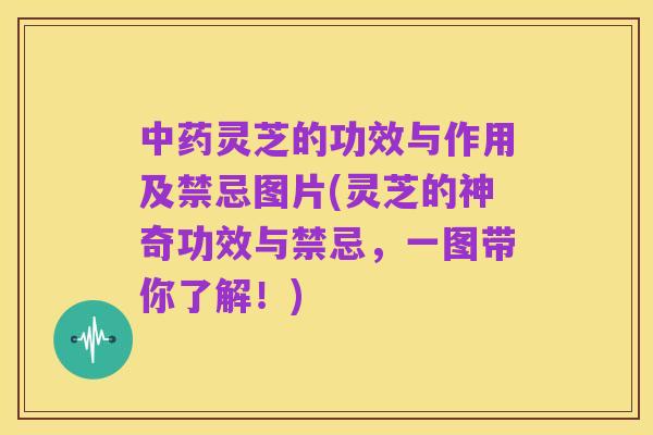 中药灵芝的功效与作用及禁忌图片(灵芝的神奇功效与禁忌，一图带你了解！)