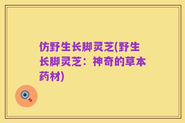 仿野生长脚灵芝(野生长脚灵芝:神奇的草本药材)