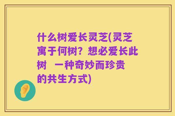 什么树爱长灵芝(灵芝寓于何树?想必爱长此树 一种奇妙而珍贵的共生方式)