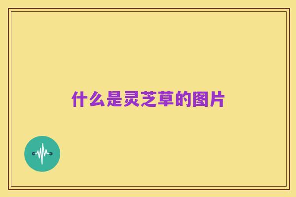 什么是灵芝草的图片
