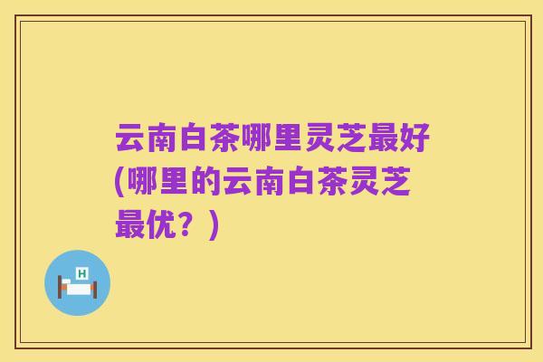云南白茶哪里灵芝最好(哪里的云南白茶灵芝最优？)