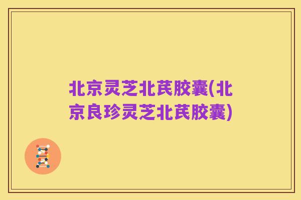北京灵芝北芪胶囊(北京良珍灵芝北芪胶囊)
