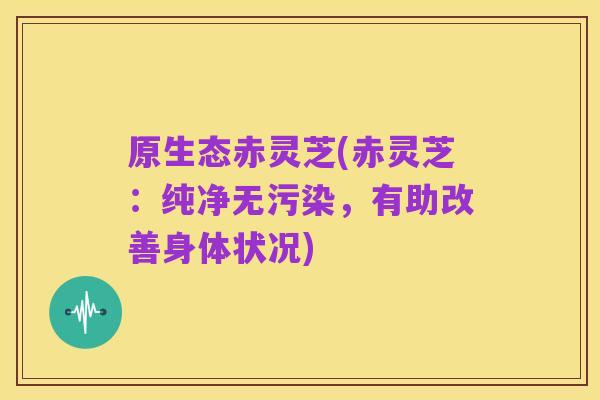 原生态赤灵芝(赤灵芝:纯净无污染,有助改善身体状况)