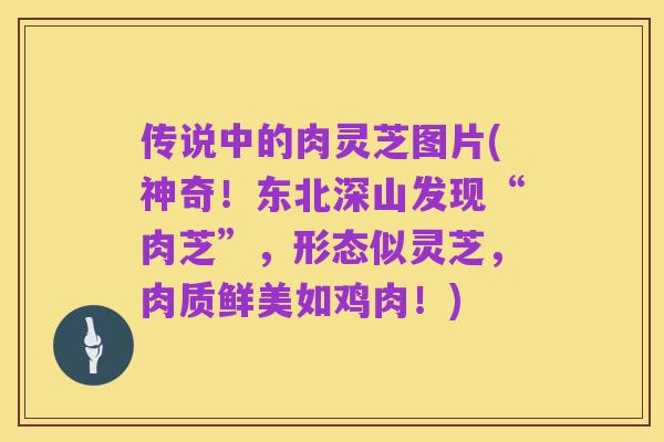 传说中的肉灵芝图片(神奇!东北深山发现“肉芝”,形态似灵芝,肉质鲜美如鸡肉!)