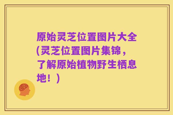 原始灵芝位置图片大全(灵芝位置图片集锦，了解原始植物野生栖息地！)