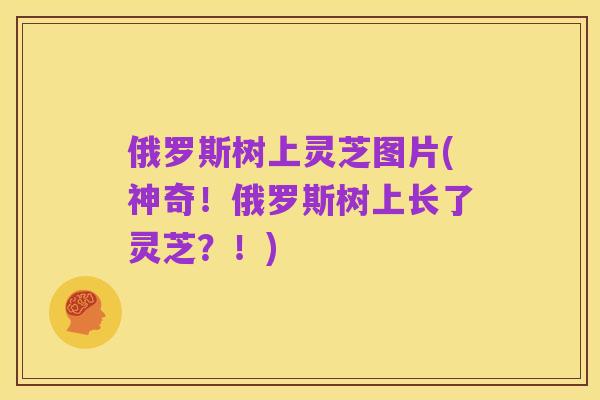 俄罗斯树上灵芝图片(神奇！俄罗斯树上长了灵芝？！)