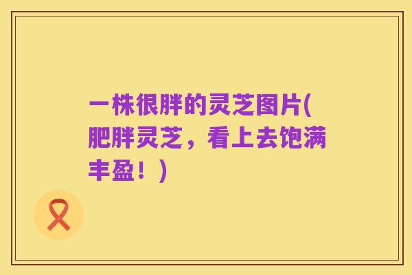 一株很胖的灵芝图片(肥胖灵芝,看上去饱满丰盈!)